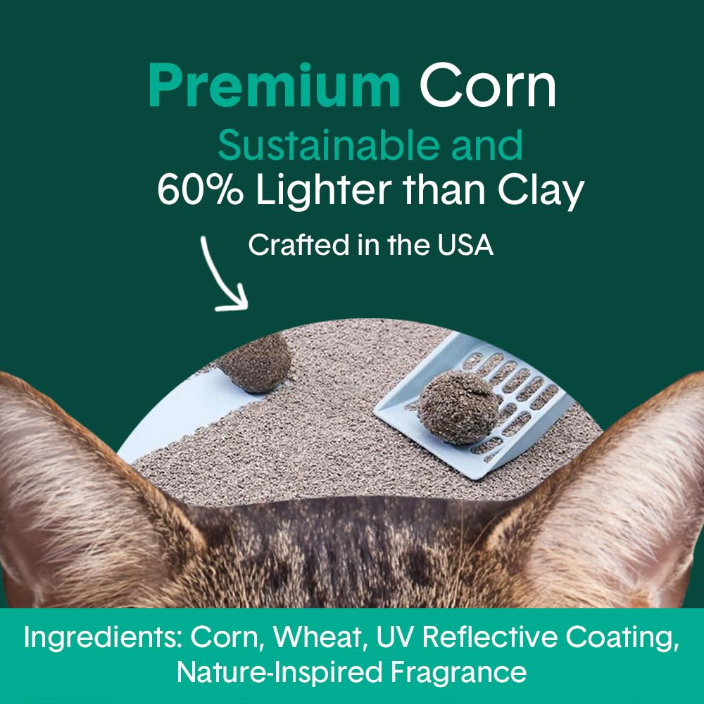Boxiecat Glo strong clumps enabling easy scooping