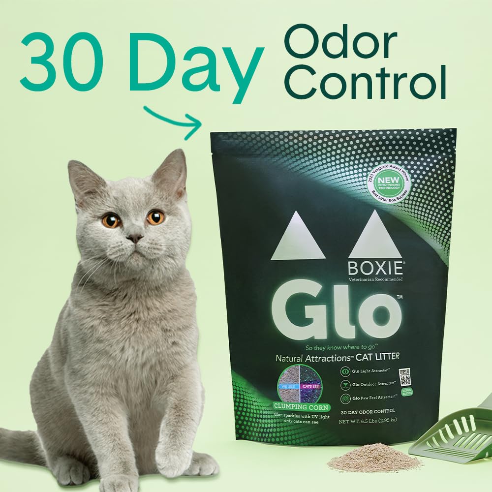 Boxiecat Glo UV sparkles attractants visible to cats