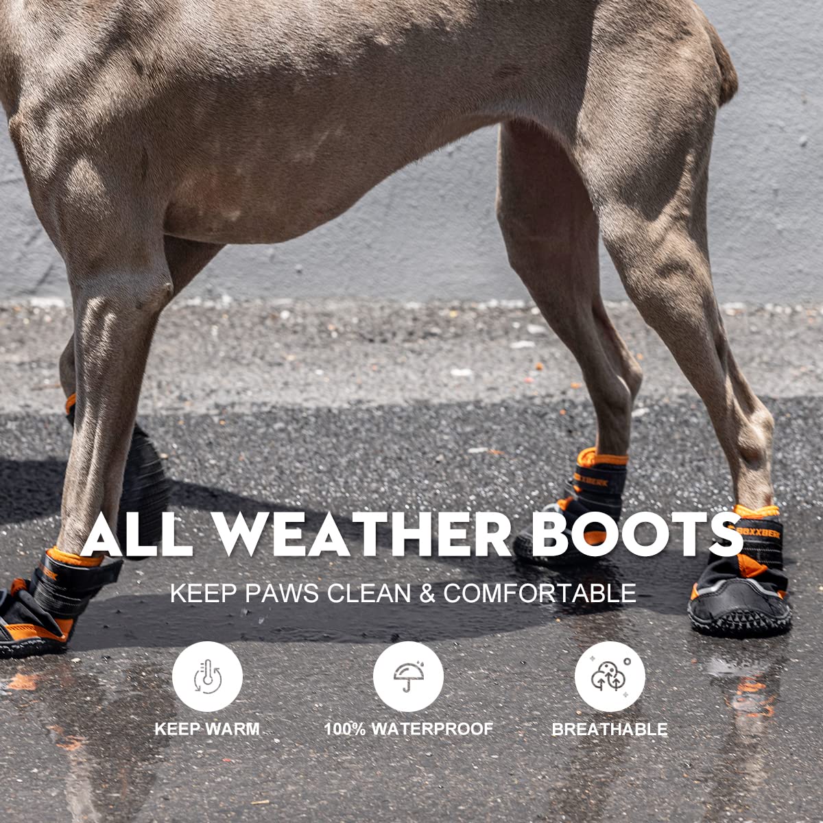 BoxxBerk anti-slip dog boots deliver secure traction on slippery surfaces.