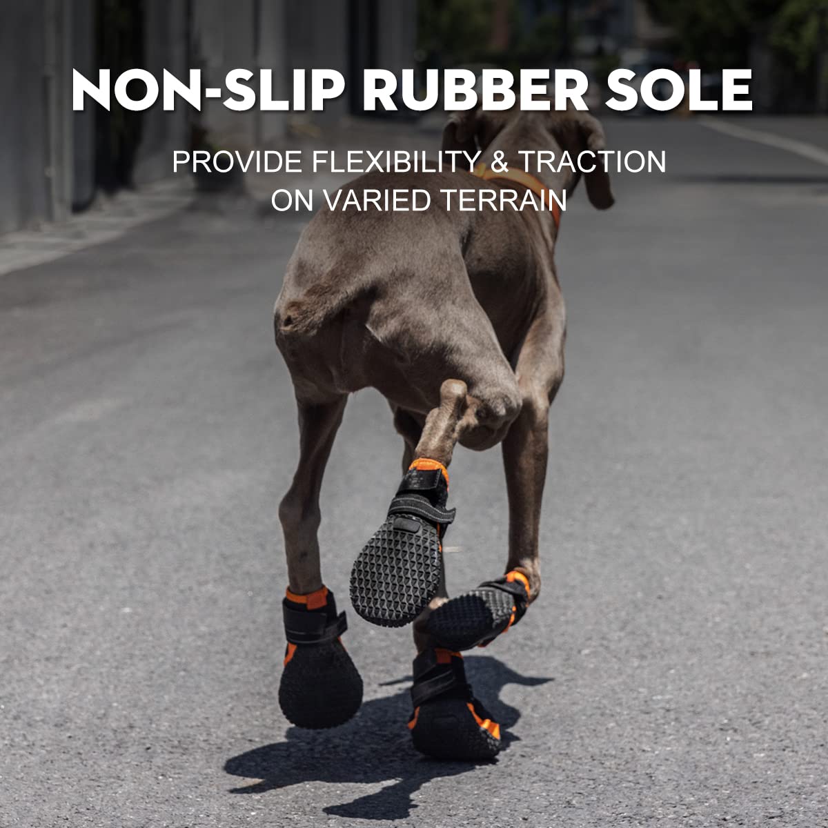 BoxxBerk dog boots with reflective strips for nighttime visibility.