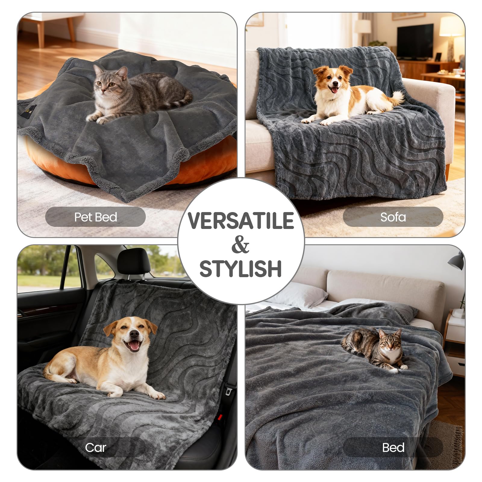 BoxZone blanket displayed on couch with a 60x50 sizing reference