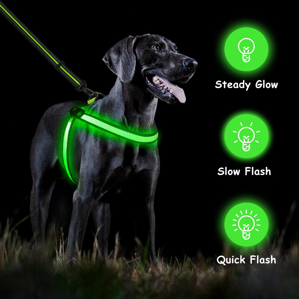 Bpawser Light Up Dog Harness D-ring attachment supports secure leash control