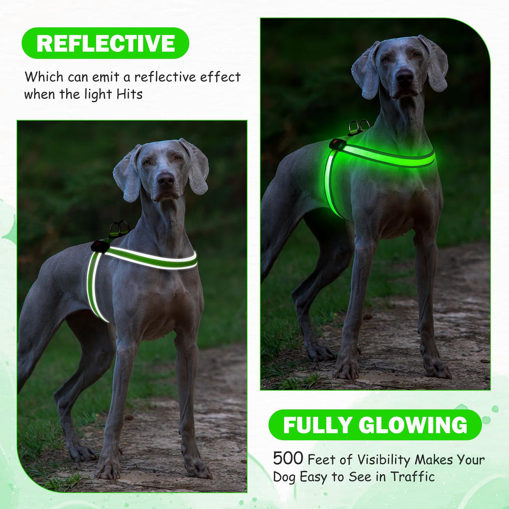 Bpawser Light Up Dog Harness USB charge port enabling quick topping before outings