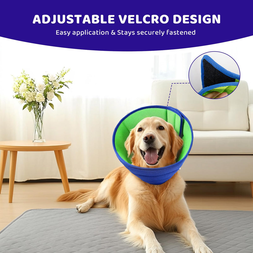 BQFLY Elizabethan-style alternative supports neuter recovery without stress