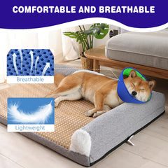BQFLY Soft Dog Cone double-layer-design combines protection with comfort during recovery.