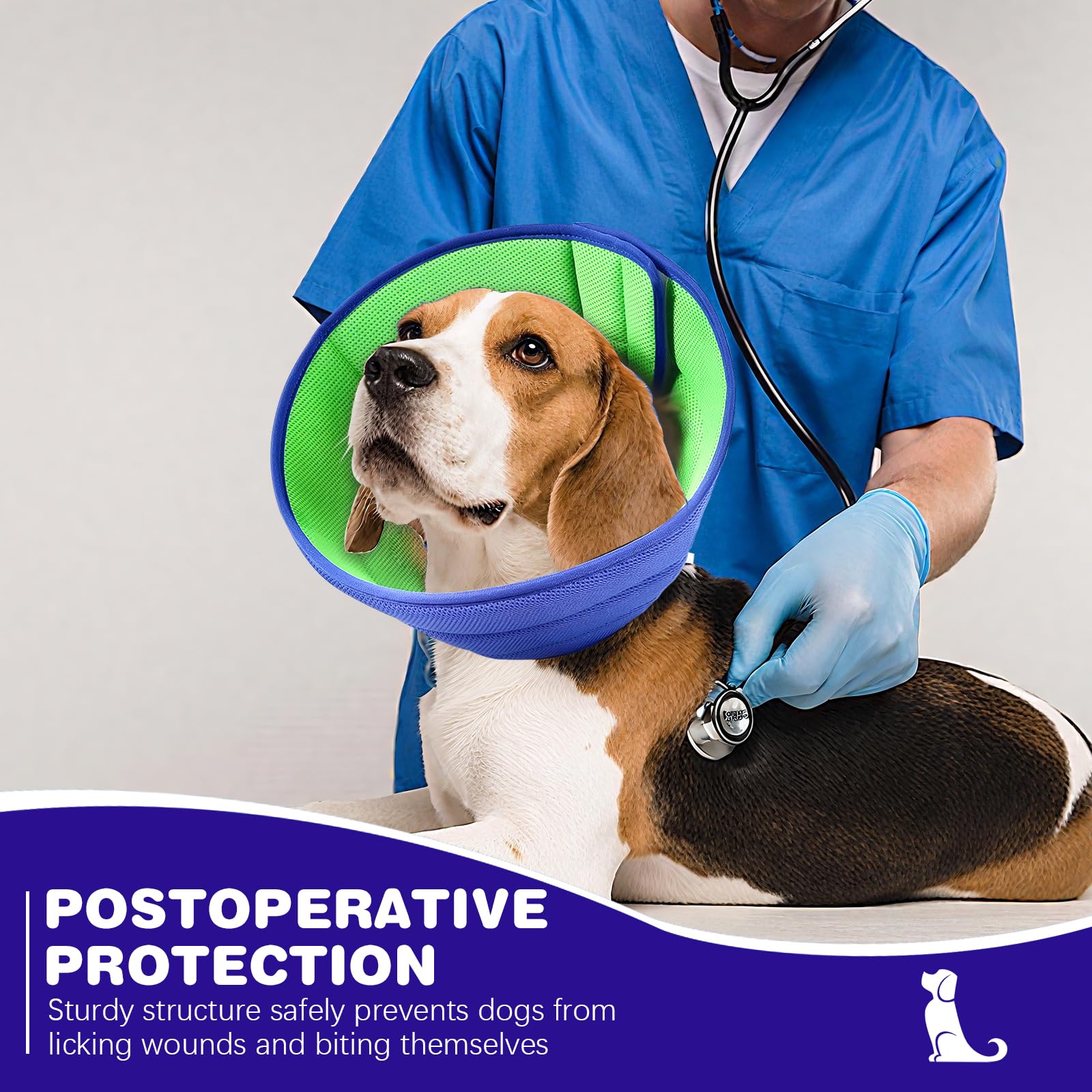 BQFLY Soft Dog Cone size-m on dog shows a secure, comfortable fit.