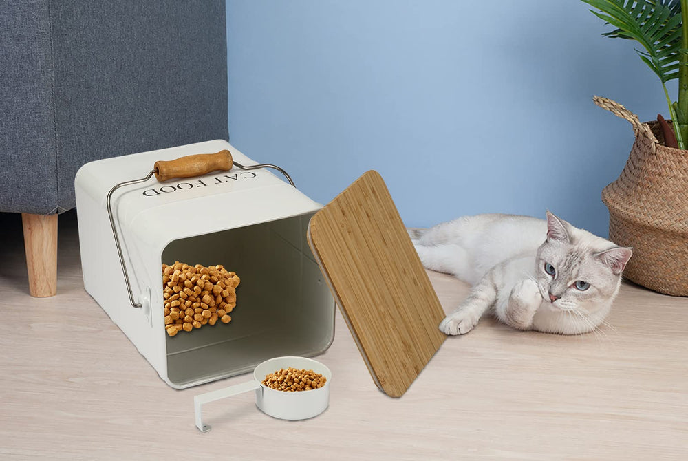 Brabtod elegant container suitable for kitchen, living room, or office spaces