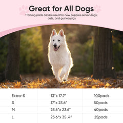 Brandon-super built-in attractant pad guiding dogs to the pad