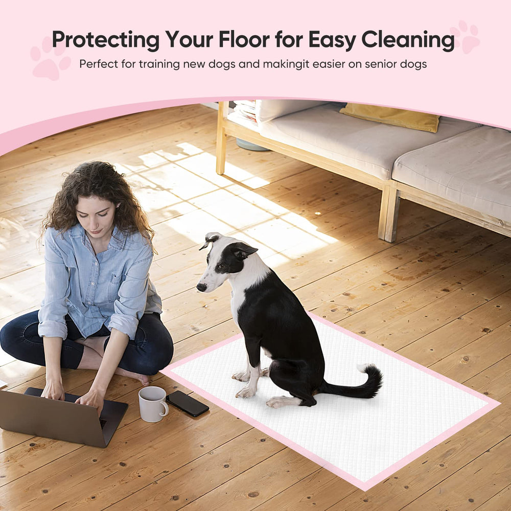 Brandon-super puppy training pad for housebreaking and keeping surfaces dry