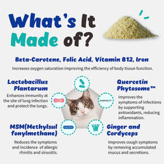 Branvine Respiratory Guardian cat label highlights Quercefit and probiotic ingredients.