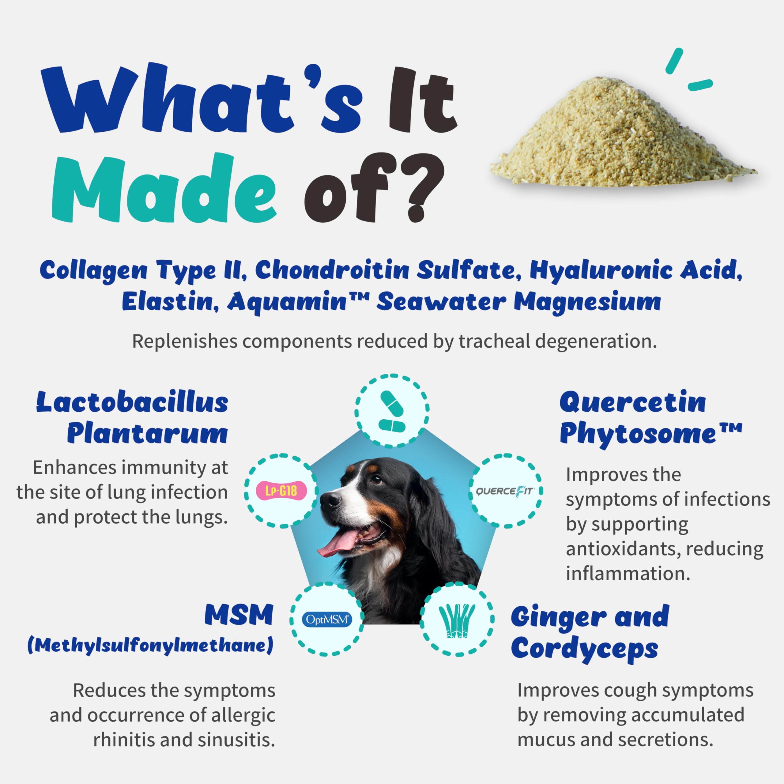Branvine Respiratory Guardian label front highlights vegan-friendly formulation for dogs.
