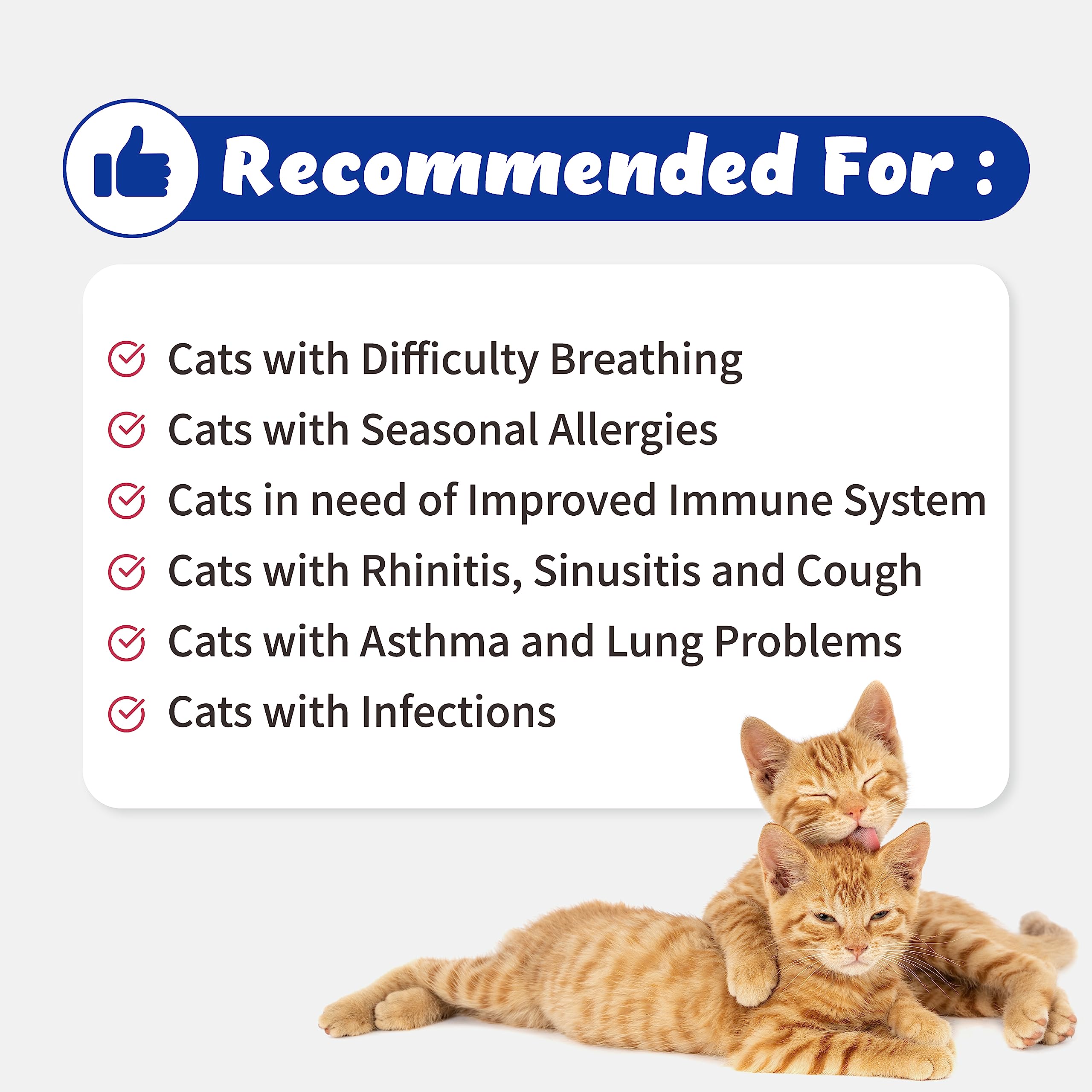 Branvine Respiratory Guardian ingredients chart highlights natural extracts supporting airway comfort.