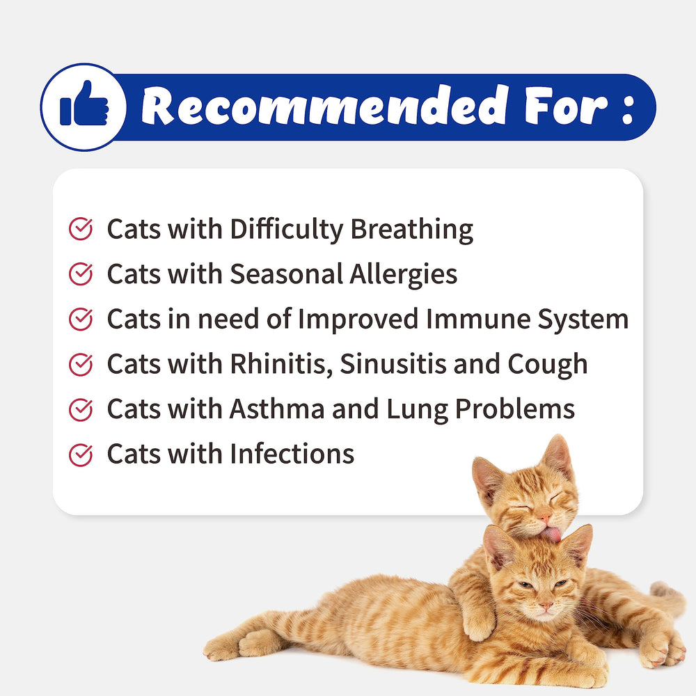 Branvine Respiratory Guardian ingredients chart highlights natural extracts supporting airway comfort.