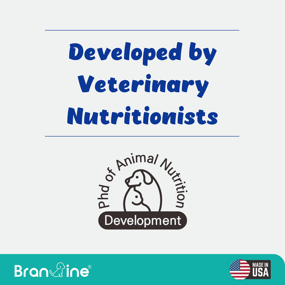 Branvine Respiratory Guardian OptiMSM scene highlights allergy-related comfort potential.