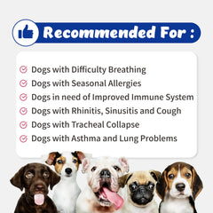 Branvine Respiratory Guardian powder tub shows convenient 135g packaging for home use.