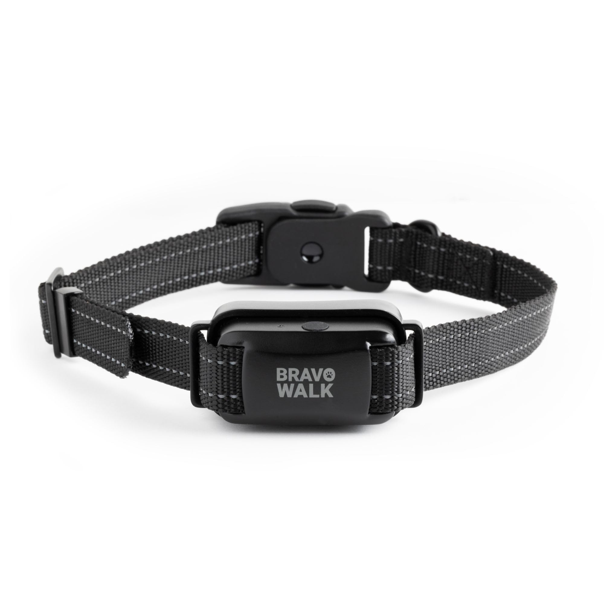 BravoWalk Pro collar on a dog during a walk for steady control