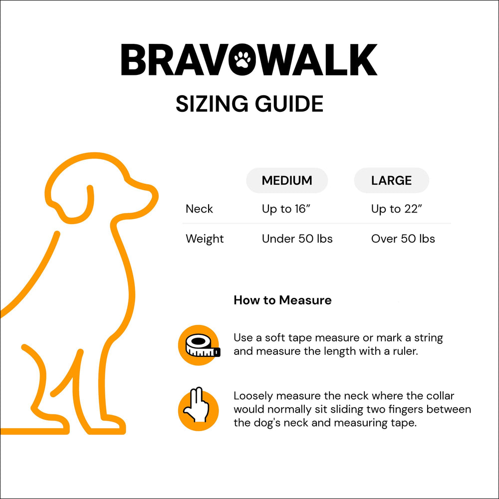 BravoWalk Pro durable nylon collar with magnetic buckle