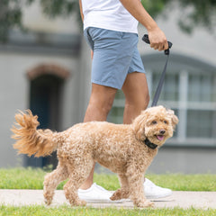 BravoWalk Pro gentle prongs design for comfortable contact across coats