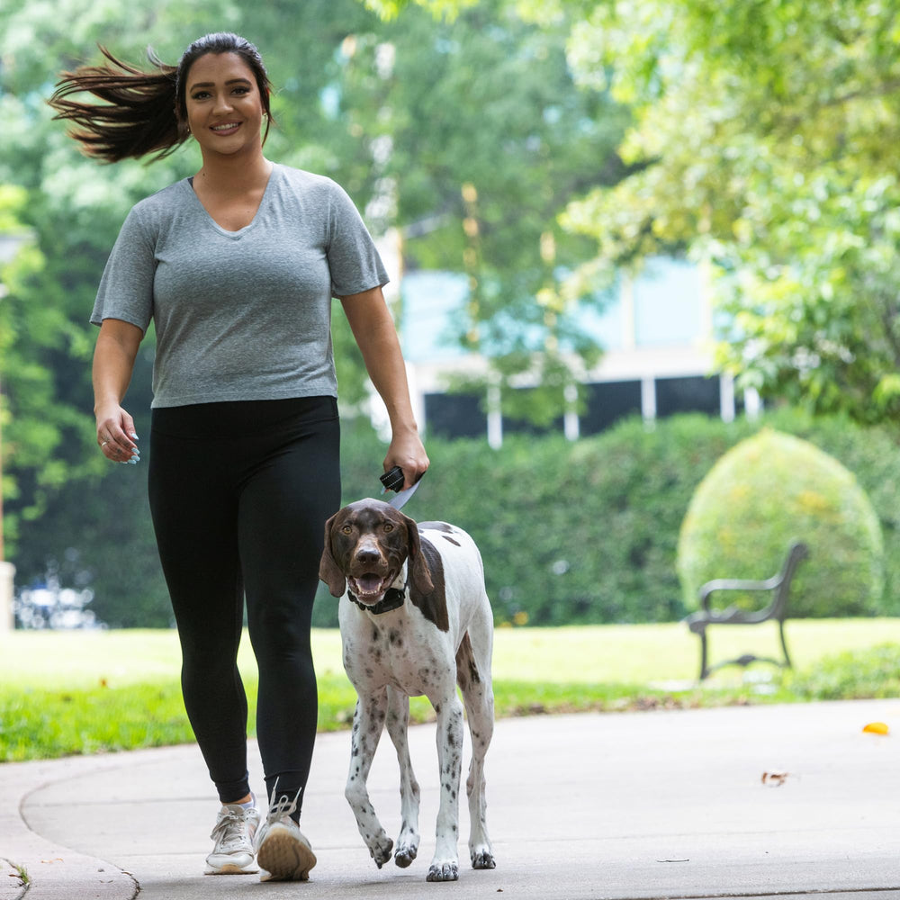 BravoWalk Pro no-pull training mode demonstration with cues