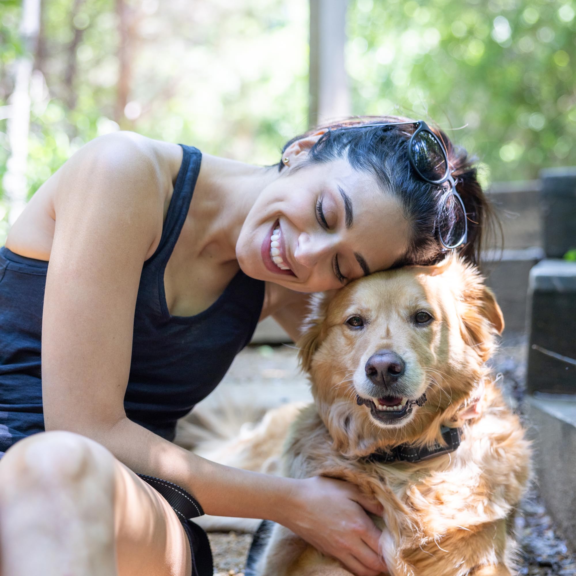 BravoWalk Pro virtual training program sign-up guide