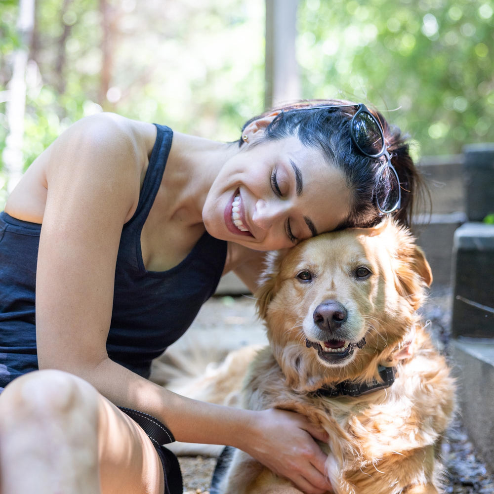 BravoWalk Pro virtual training program sign-up guide