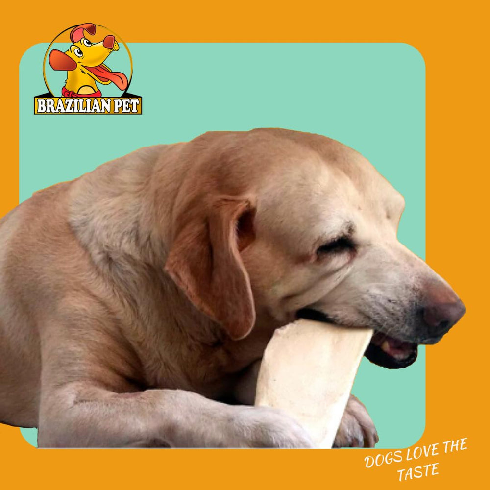 Brazilian Pet Premium thick cut chips no smell shows clean, non-greasy chew session.