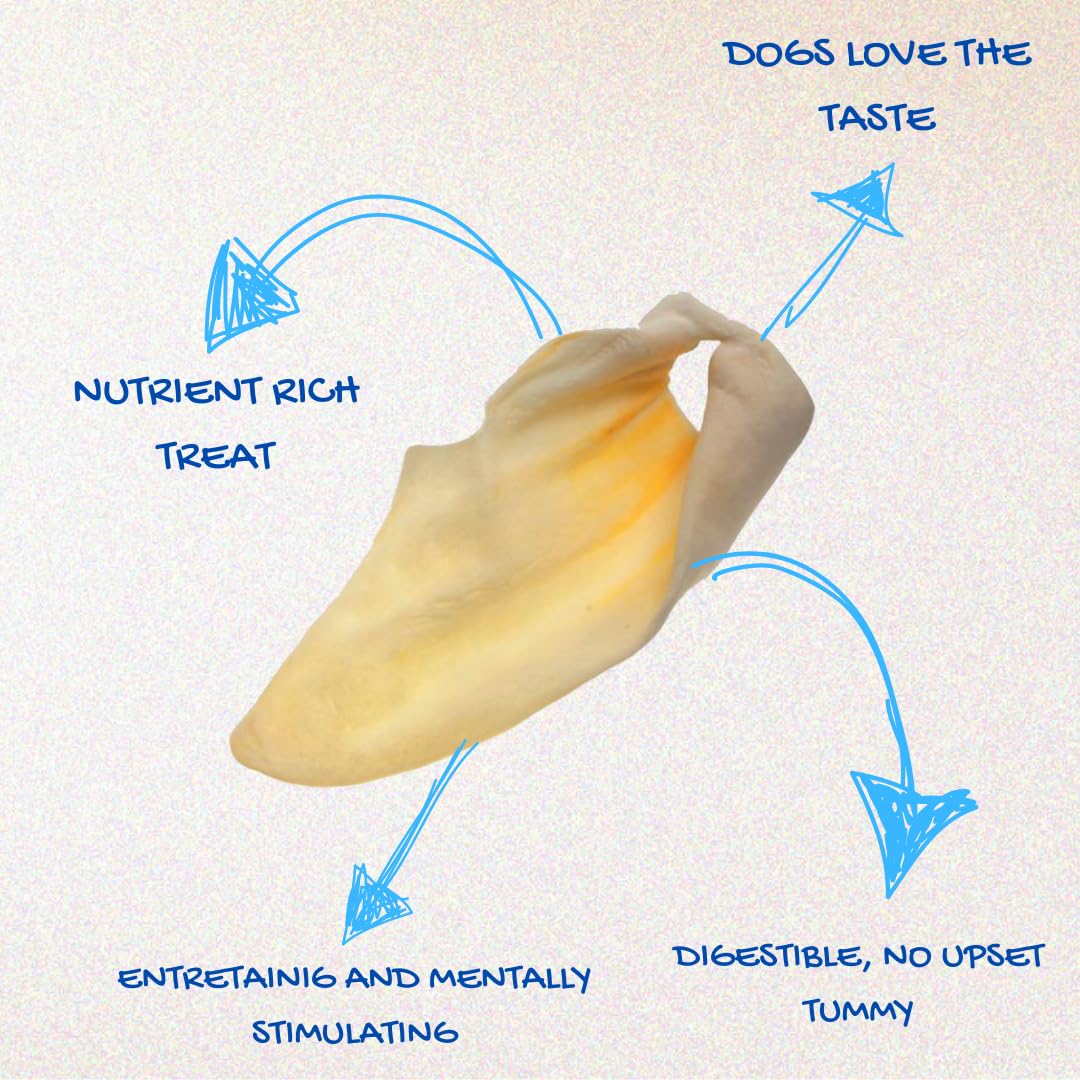 Brazilian Pet prime dog chews: premium texture for satisfying chews.