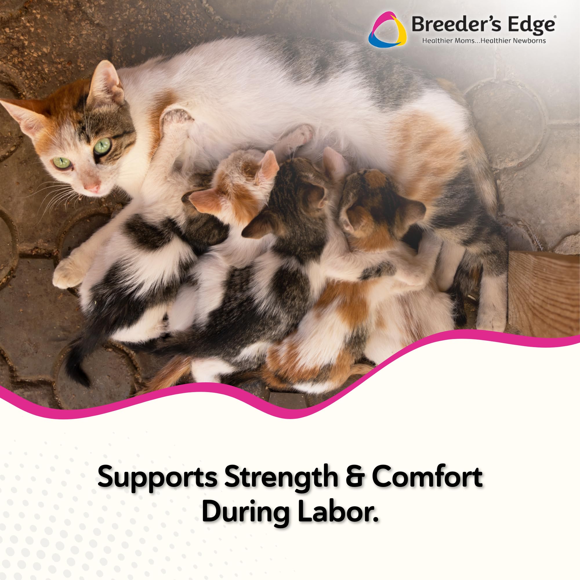 Breeder's Edge Cal Plus Gel during labor supports contractions.