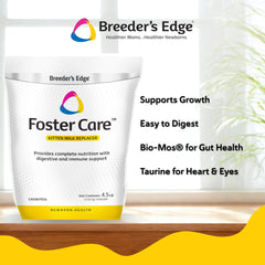 Breeder's Edge Foster Care bottle-feeding kitten with milk replacer for growth.