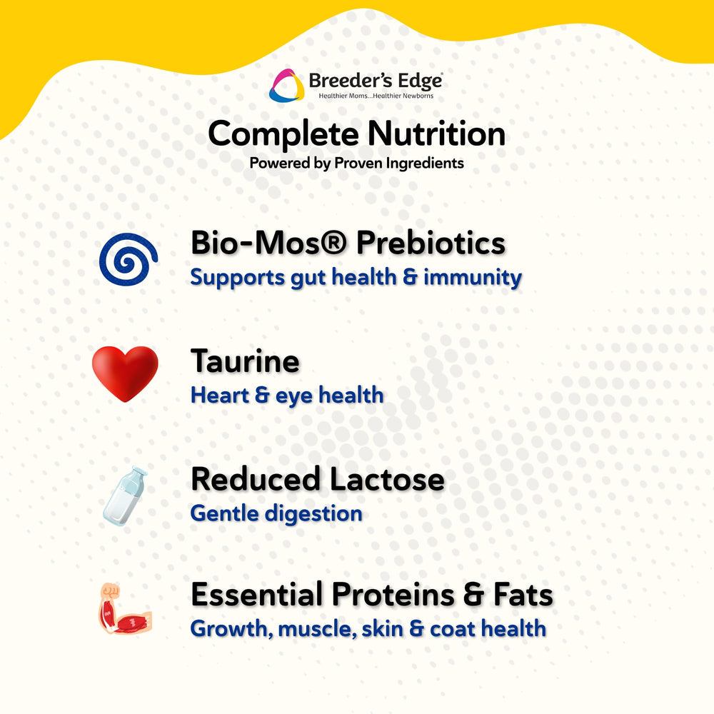 Breeder's Edge Foster Care kitten nutrition supports growth, energy, and daily activity.