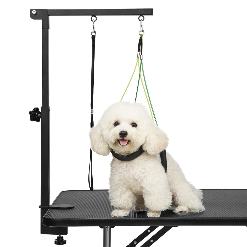 Breeze Touch dog grooming arm extend shows adjustable height for comfortable home grooming.