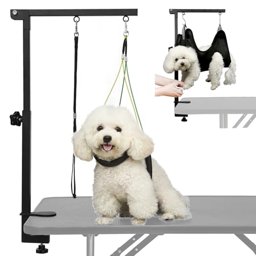 Breeze Touch dog grooming arm extended for stable, comfortable grooming sessions.