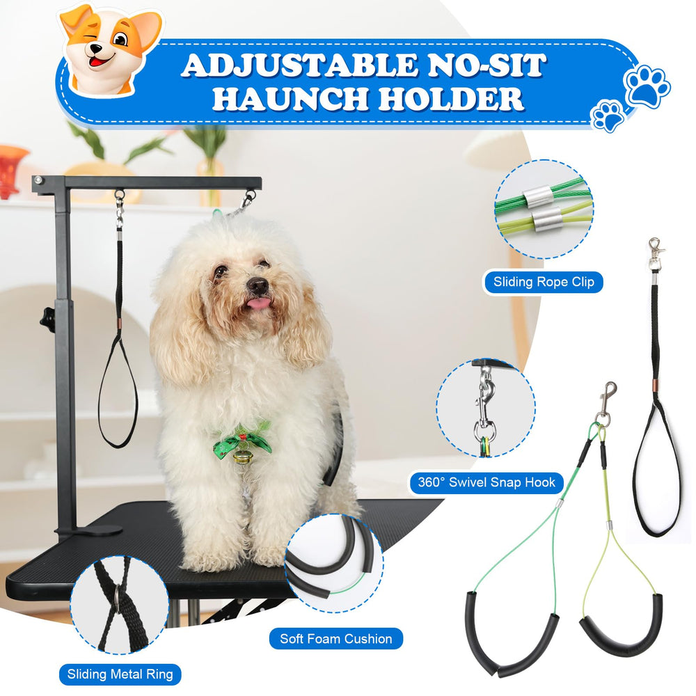 Breeze Touch no-sit haunch holder secures dog safely for calmer grooming.