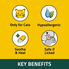 Breezytail PetO'Cera Cat Cream applied to a paw for dry skin relief.