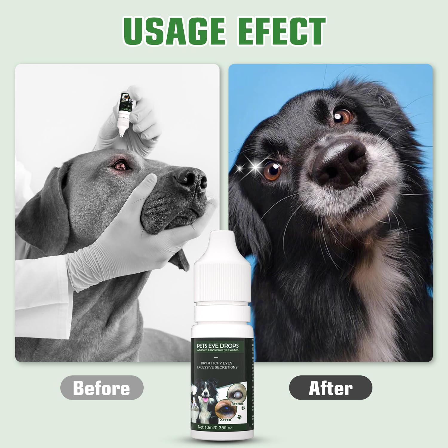 Owner applying Brennenstuhl Cataract Drops to a dog's eye during daily care.