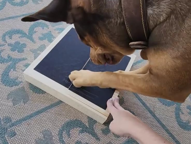 Bridge Cutters clipper-board paw care demonstrates secure grip during trimming.