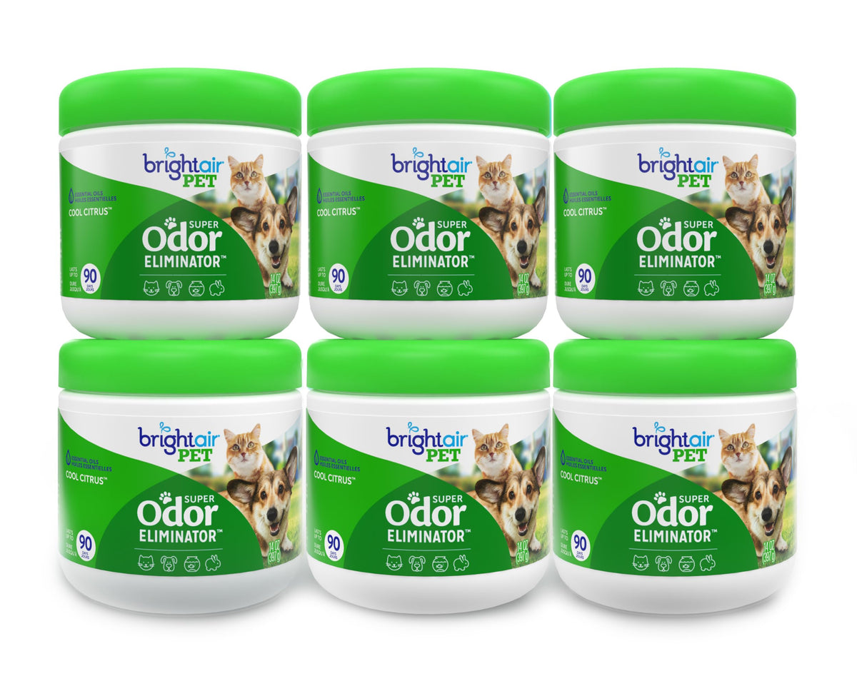 Bright Air 14oz odor eliminator jar front shows long-lasting freshness for mid-size rooms