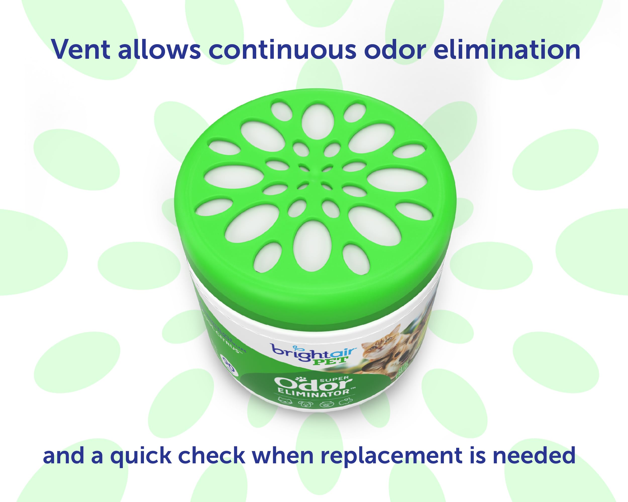Bright Air in kitchen setting demonstrates continuous odor control