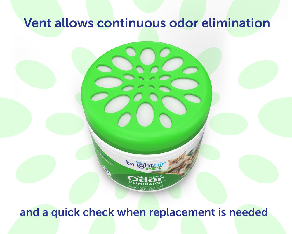 Bright Air in kitchen setting demonstrates continuous odor control