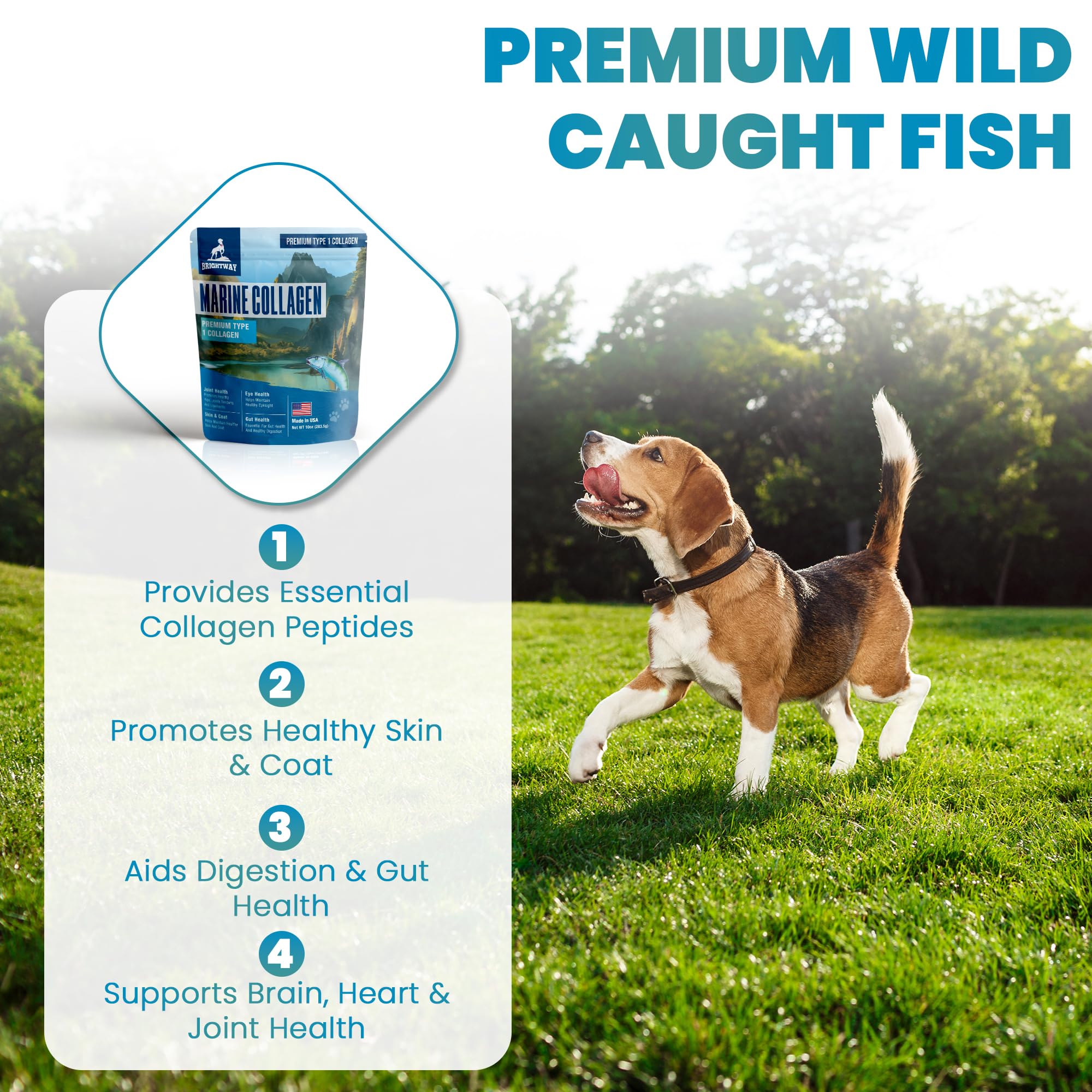 Brightway Pets Collagen powder dog being dispensed for easy daily mix.