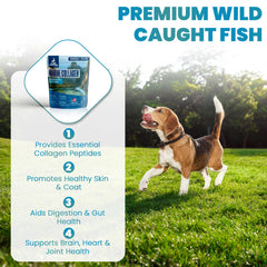 Brightway Pets Collagen powder dog being dispensed for easy daily mix.