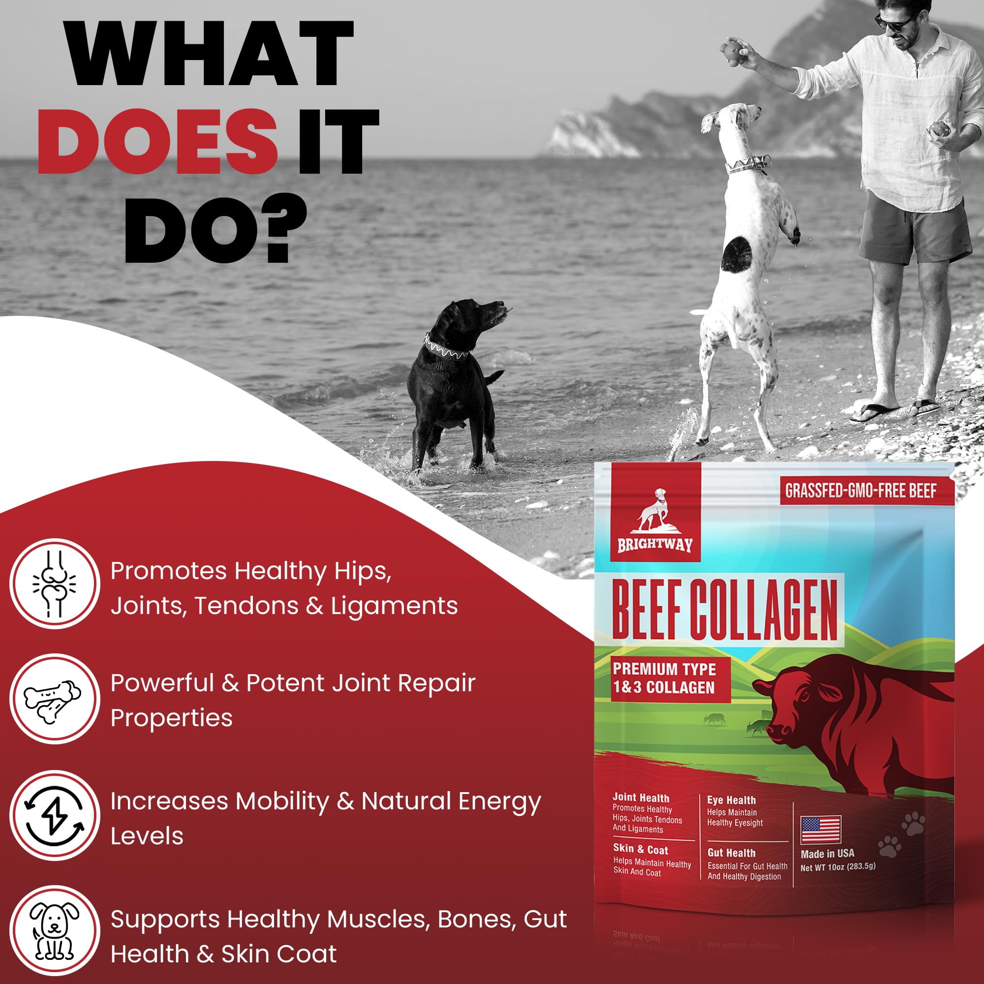 Brightway Pets grass-fed collagen for dogs measuring spoon—precise daily portions