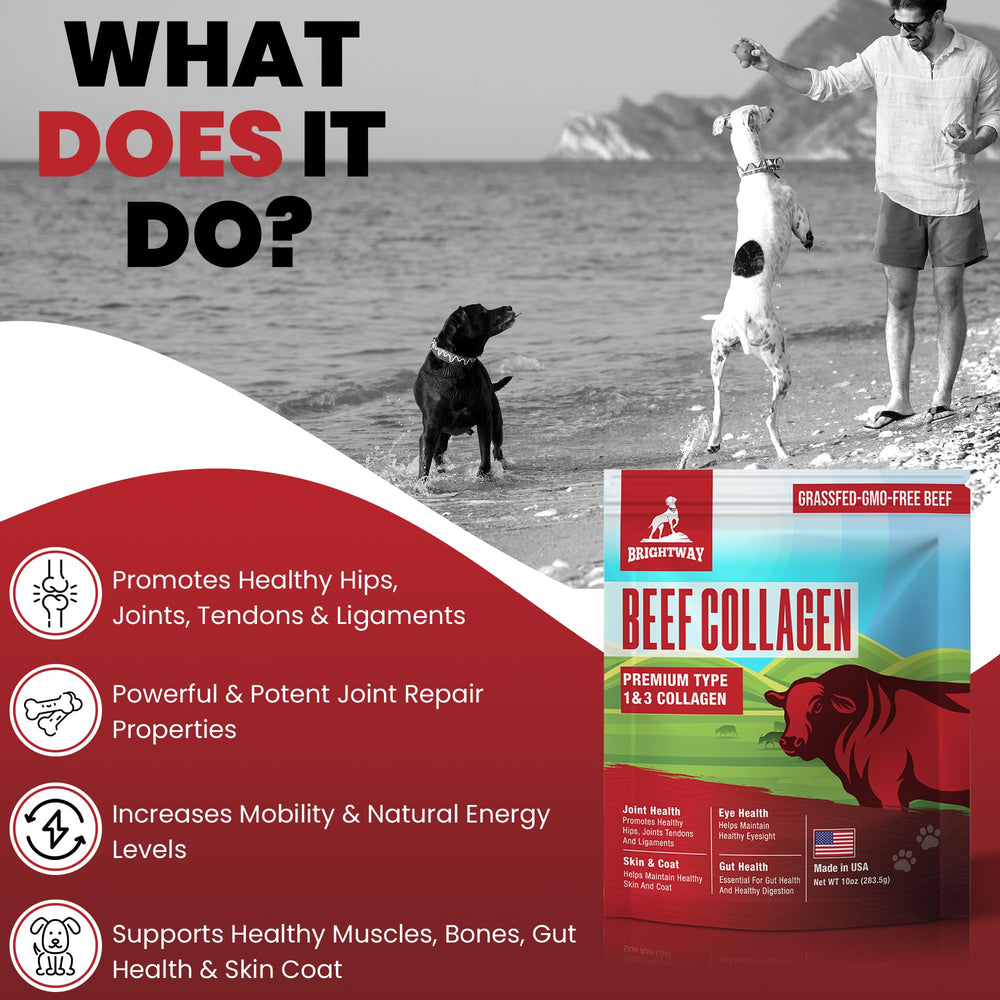 Brightway Pets grass-fed collagen for dogs measuring spoon—precise daily portions