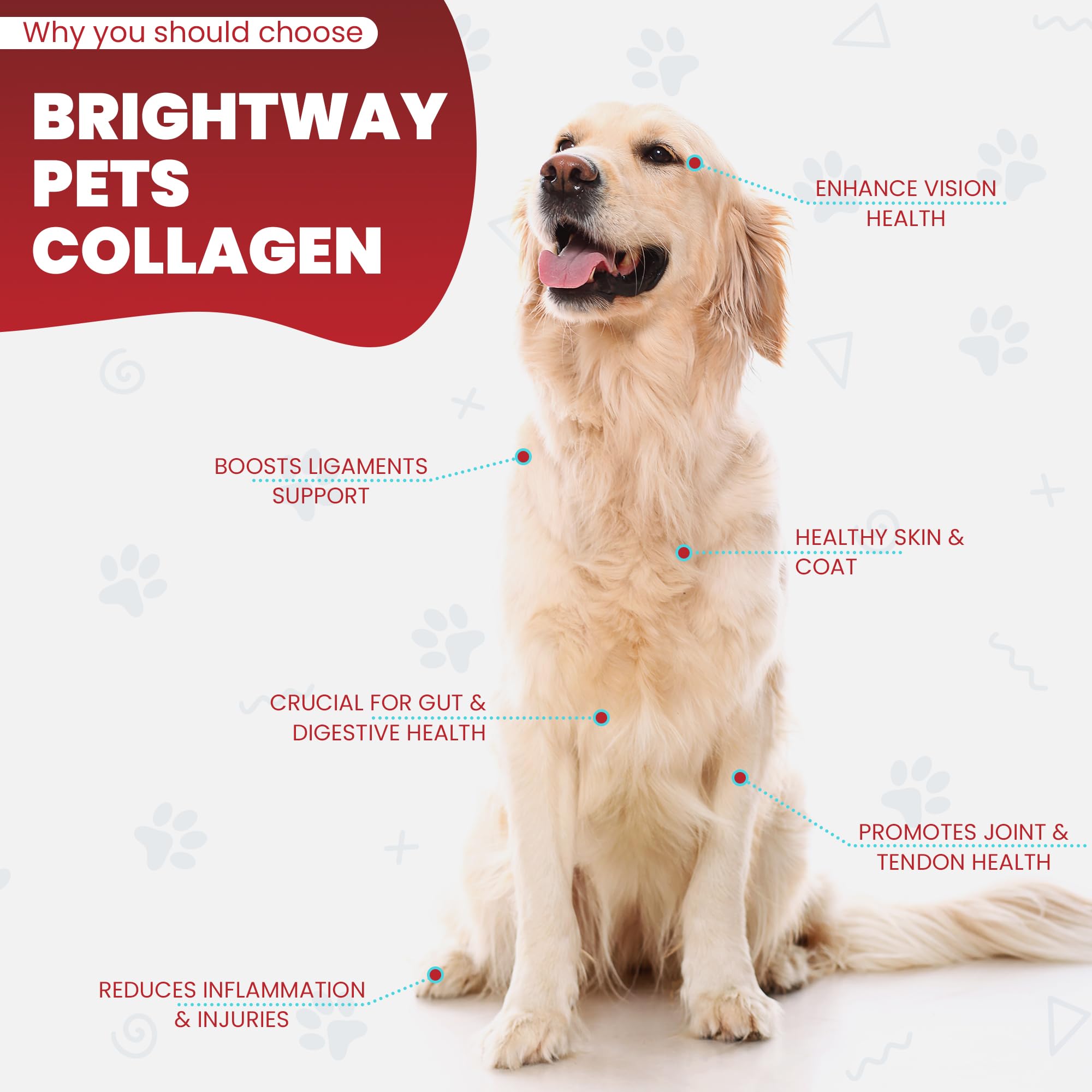 Brightway Pets grass-fed collagen for dogs mobility image—comfort during play