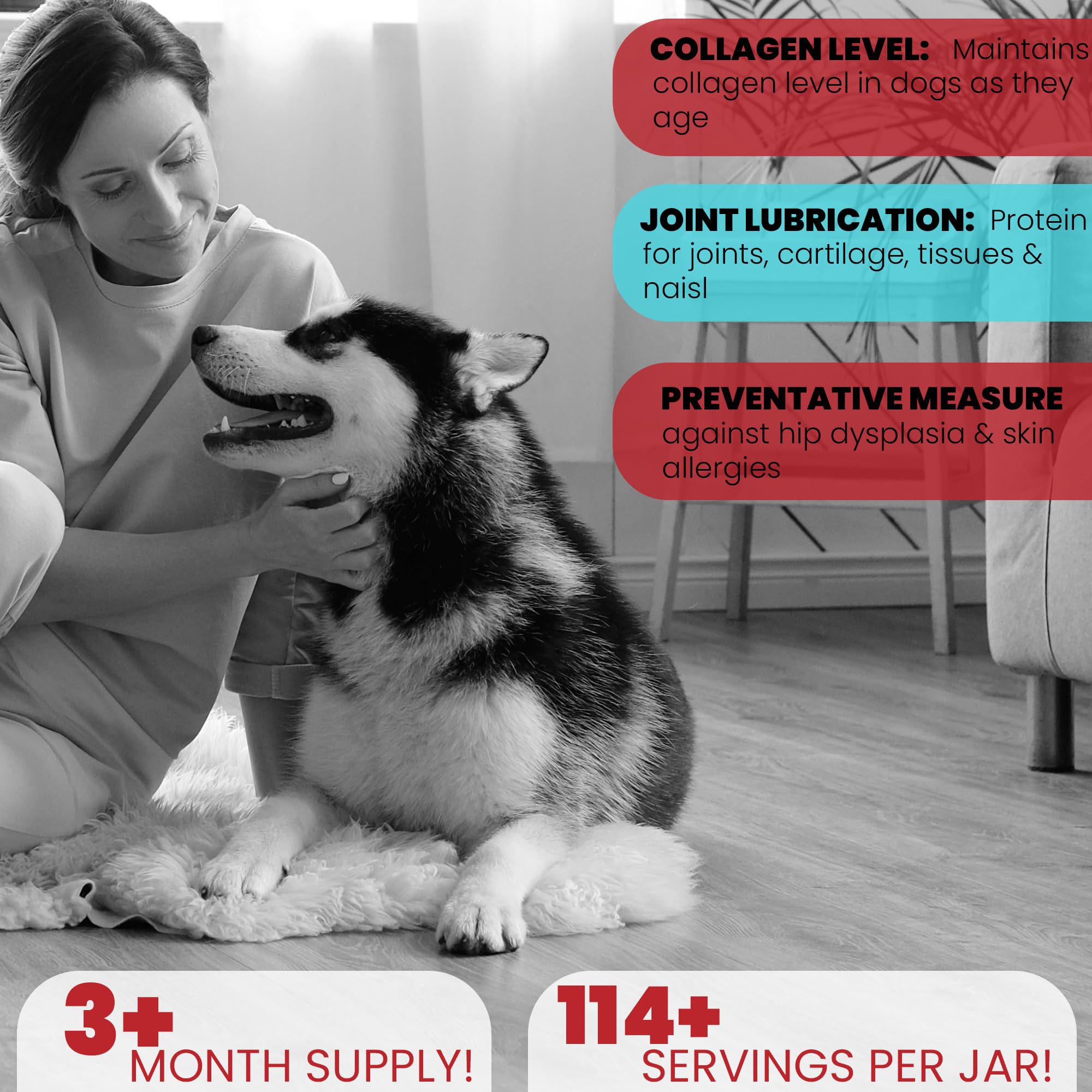 Brightway Pets grass-fed collagen for dogs skin coat glow—healthy-looking fur
