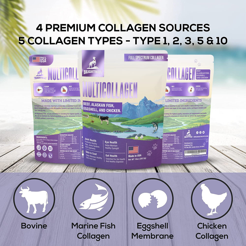 Brightway Pets liquid collagen dogs coat glow image suggests skin and coat health