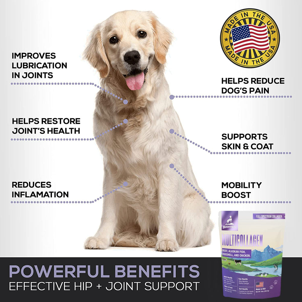 Brightway Pets eggshell membrane image conveys natural joint-support components