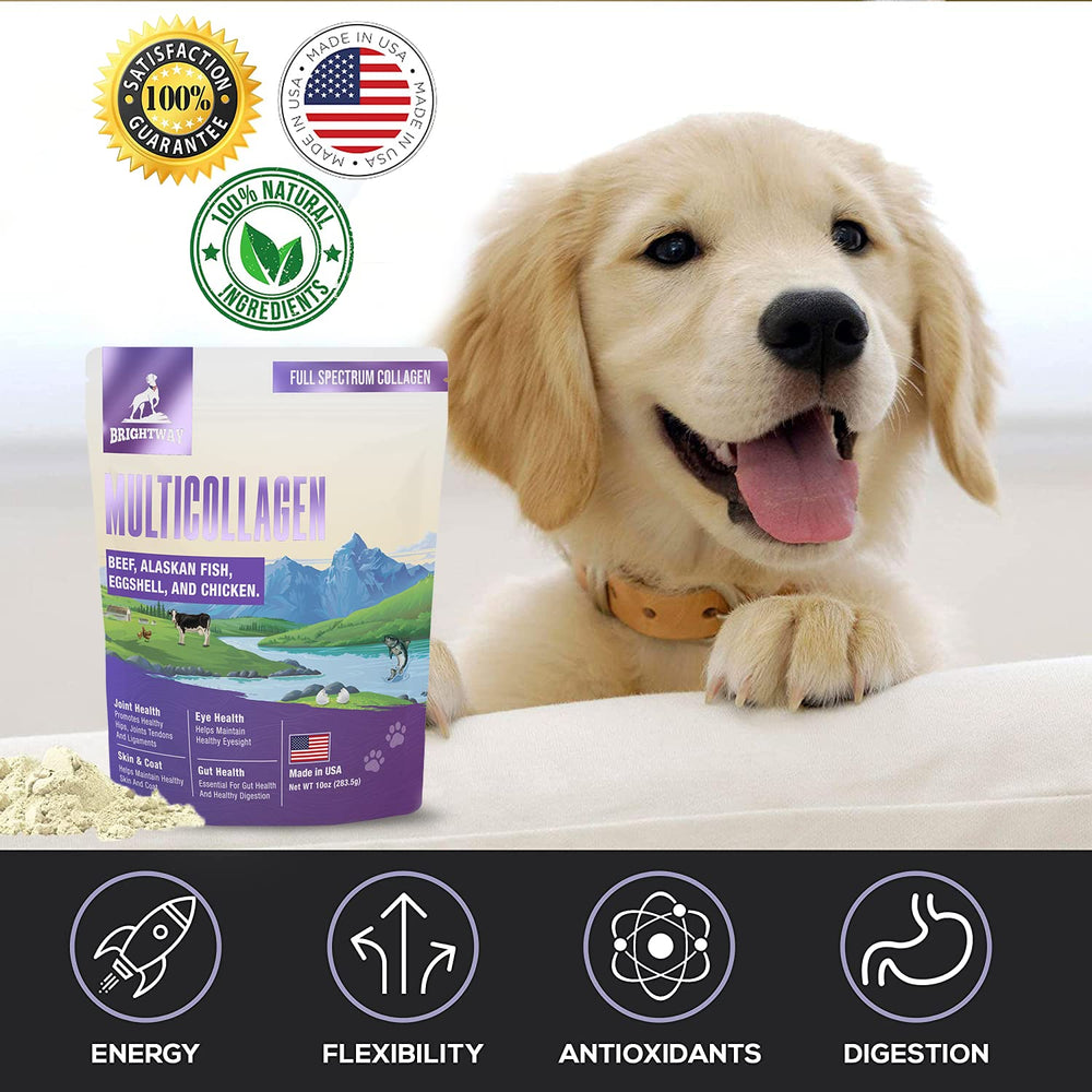 Brightway Pets liquid collagen dogs ingredients list with bovine and pollock