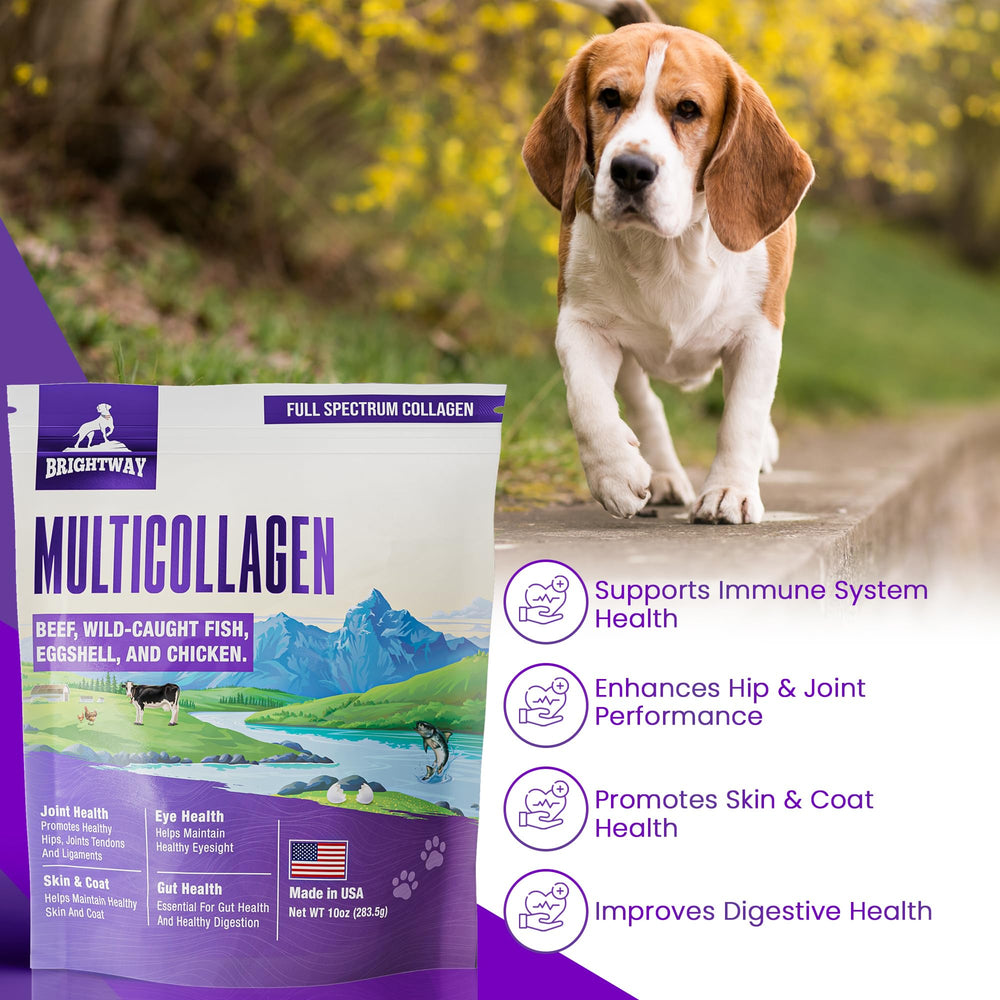 Brightway Pets made in USA stamp conveys safety and quality