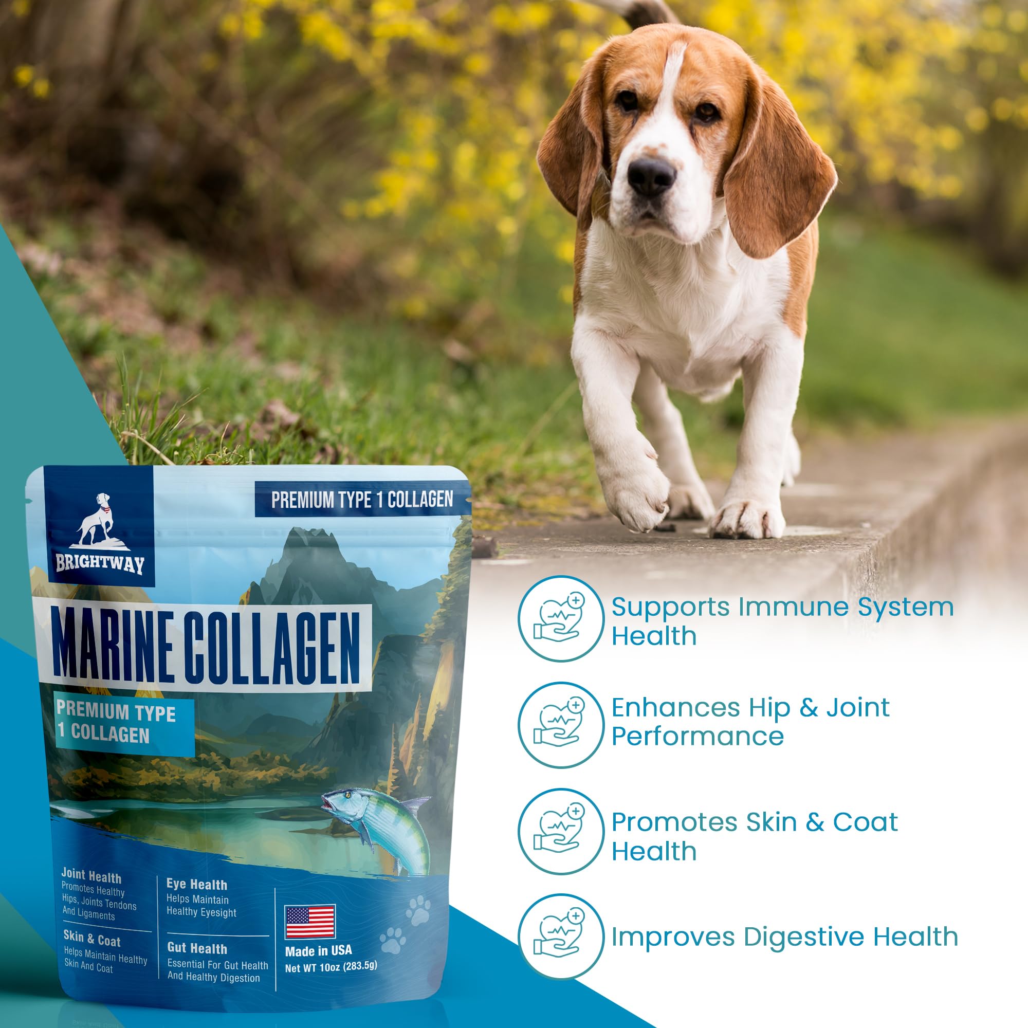 Brightway Pets Wild Caught Marine Collagen made-in-USA facility badge.
